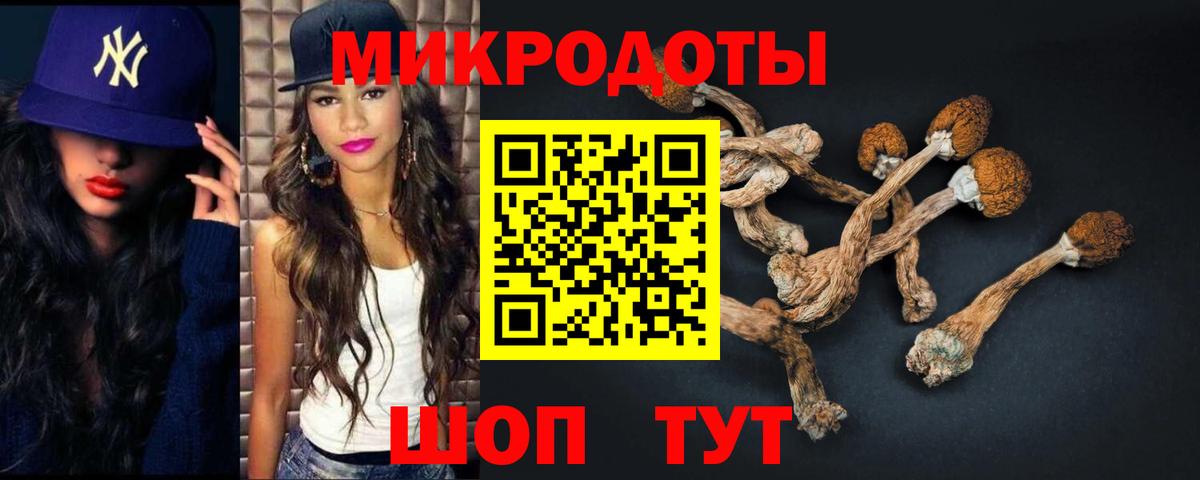 Псилоцибиновые грибы мицелий  Вход с VPN  как найти закладки  Моздок 